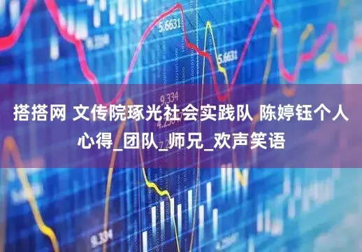 搭搭网 文传院琢光社会实践队 陈婷钰个人心得_团队_师兄_欢声笑语