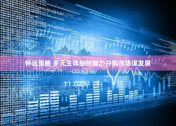 怀远策略 多元主体纷纷借力并购市场谋发展