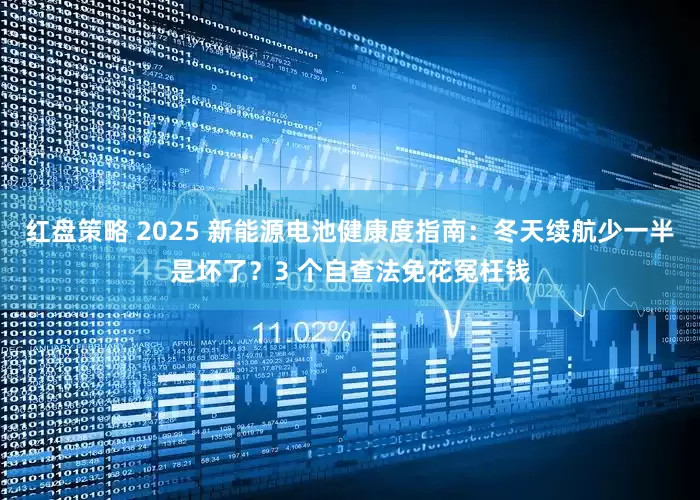 红盘策略 2025 新能源电池健康度指南：冬天续航少一半是坏了？3 个自查法免花冤枉钱