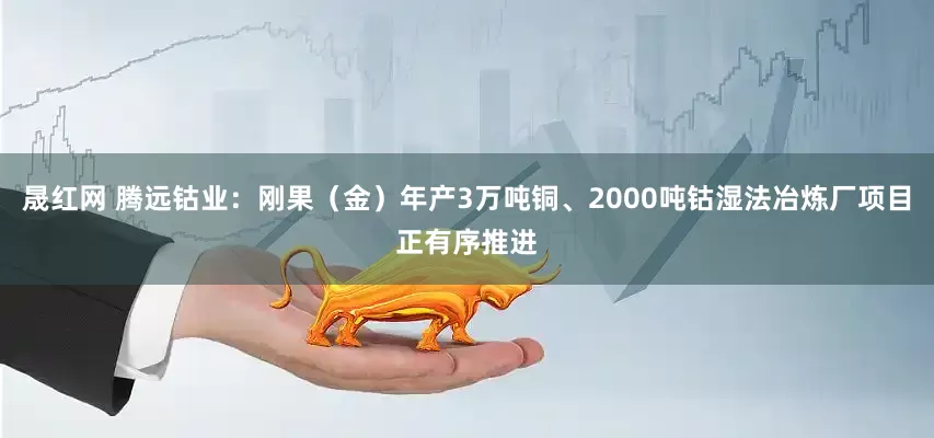 晟红网 腾远钴业：刚果（金）年产3万吨铜、2000吨钴湿法冶炼厂项目正有序推进